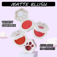 Palette de blush pour les yeux en forme de patte de chat, 4 couleurs, imperméable, aspect naturel, longue durée, marque privée personnalisée