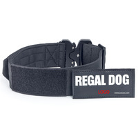 Collar de Perro de Nailon de Diseño Minimalista Personalizado con Cintas, Acolchado de Neopreno Suave, Hebilla Metálica de Liberación Rápida, Ajustable