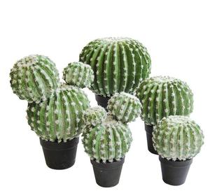 Plante Artificielle <span class=keywords><strong>D</strong></span>écorative en Plastique, Étiquette Personnalisée, Petits Clôtures, Treillis, Portails, <span class=keywords><strong>Cactus</strong></span> Artificiels - Product Image 6