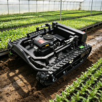Tondeuse à gazon télécommandée sur chenilles pour vignobles, moteur essence, robuste, pour pentes et terrains accidentés