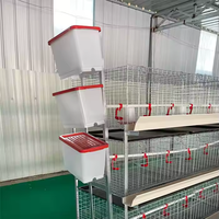 Cage à poulets de chair multi-niveaux de type H, capacité 60/80 poulets, cage de ferme galvanisée pour poulets de chair à vendre