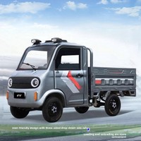 Camion de fret électrique domestique chinois fourni par l'usine, véhicule électrique à quatre roues, moteur 60V 1000W, autonomie <100km, personnalisable