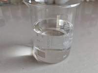 TBHP 70% 75-91-2 Peroxyde de butyl tertiaire, initiateur TBHP