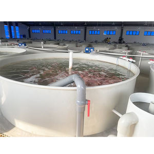 Ferme piscicole commerciale ras système équipement ras pisciculture pour Shol / Snakehead Murrel / <span class=keywords><strong>Channa</strong></span> striata - Product Image 2