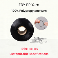 Factory Direct Sales FDY Black Common Polypropylene Yarn 150D-3000D Suitable for Luggage Straps Filament pp Yarn