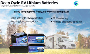 Zonne-energie Opslag Lithium Ion 24V 100Ah LiFePO4 Batterij - Product Image 4