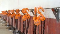 Palans à chaîne, blocs de levage à chaîne, palans de grue, palans à chaîne de 250 kg, mini-palans de 1 tonne, 2 tonnes, 3 tonnes, 4 tonnes, 5 tonnes, 30 tonnes, palans à chaîne de 12 mètres, palans de levage