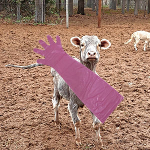 Guantes Desechables de Examen Veterinario para Pruebas de Gestación en Bovinos - Product Image 1