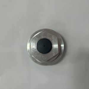 Tapas de Eje de Remolque Dexter Oil Cap LB-FT de Aleación de Aluminio, 25-30 Lb-Ft Torque - Product Image 1