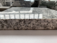 BOTON STONE Carreaux de granit bleu Labradorite chinoise Fabricant de comptoir Dalles de granit à bas prix Pierre naturelle