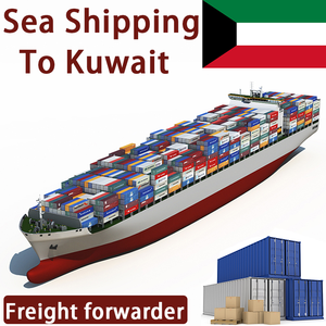Agente de Transporte Marítimo Profesional <span class=keywords><strong>LCL</strong></span> FCL DDP, Transitario de Carga Marítima de China a Medio Oriente, Servicio de Logística para Emiratos Árabes Unidos, <span class=keywords><strong>Kuwait</strong></span> y Catar - Product Image 5