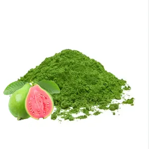Good Quality Guava Flavor Ceremonial Shaded Grade Matcha Tea Drinks Fast Delivery