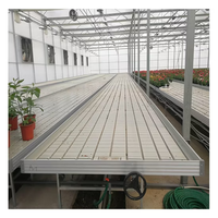 Système hydroponique d'inondation et de vidange mobile de tailles personnalisées Table de flux et de reflux Plateau d'inondation hydroponique Support de culture vertical pour ferme