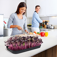 Kit de culture créatif auto-arrosant pour micro-légumes, réutilisable, en plastique PP, pour semis, idéal pour la maison et le jardin, utilisation annuelle
