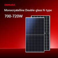 Module PV monocristallin HJT demi-cellule bifacial double verre DEMUDA 700W 705W 710W 715W 720W 210mm 132 cellules