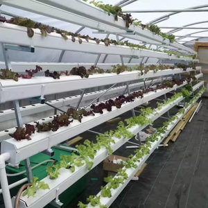 מערכת תעלות מודולרית הידרופונית גדולה 6 מטר, מערכת NFT אנכית עם 12 צינורות, סוג A, 6 קומות, עמידה, ידידותית לסביבה, לגידול בחממה - Product Image 2