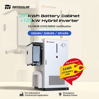 Sistema de Almacenamiento de Energía para Comercios e Industrias con Refrigeración Líquida y Batería LiFePO4 de 125kW 261kWh para Conexión a Red y Uso Fuera de Red