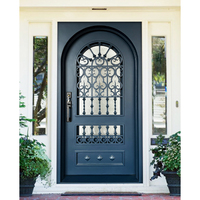 Puerta de Entrada de Hierro con Arco de Seguridad de Vidrio Aquatex, Diseño Moderno y Personalizable, Puerta Metálica Exterior para Villa
