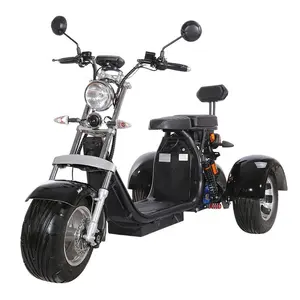 Golf elektrikli üç tekerlekli bisiklet 60V 20A ayrılabilir lityum pil yağ lastik üç tekerlekli bisiklet elektrikli scooter