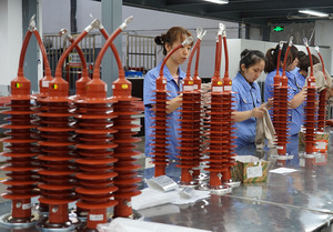 Boîtier polymère 3kV-36kV Parafoudre haute tension à oxyde métallique - Product Image 6