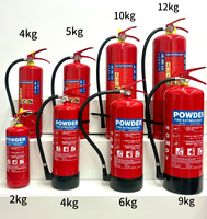 Extincteur à poudre portable pour l'industrie automobile, de bureau, domestique et hôtelière, poudre ABC sèche pour pompiers
