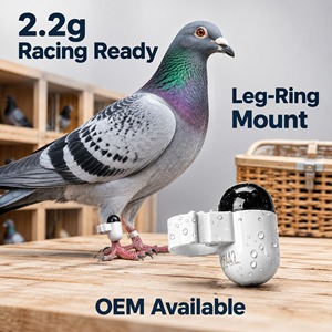 Dispositif de suivi GPS compact de 2,2 g pour oiseaux, traceur GPS aviaire avec 30 jours d'autonomie et boîtier IP67 pour les passionnés de pigeonnage - Product Image 1