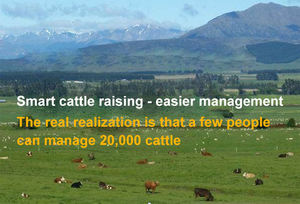 Dispositivo de seguimiento de ganado caballo Gps Animal Tracker proporciona aplicación técnica Soporte de desarrollo de software Módulos Gps de fábrica Oem - Product Image 3