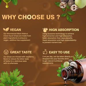 Suplementos Herbales OEM/ODM, Gotas Orales de Vitamina de Ajenjo y Nogal Negro, Tintura Natural Pura, Apoyo Inmunológico y Energía - Product Image 5