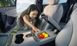 BYD Healion 6 SUV hybride 4 roues motrices, conduite à droite, 5 portes, 5 places, hybride essence-électrique, norme d'émission Euro VI - Product Image 4