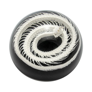 Taxidermy mẫu nhà sản xuất thiết kế mới tùy chỉnh tinh thể trong suốt thực rắn nhựa nửa Dome chặn giấy - Product Image 1