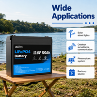 Batterie LiFePO4 Panailo 12,8V 100Ah 1280Wh avec BMS intelligent intégré, 4000 cycles, cellules de qualité A, batterie au plomb-acide, fourniture d'usine
