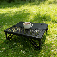 Mini table pliante d'extérieur, table de poche ultra-légère et portable, petite table à café pour barbecue, randonnée, pique-nique, table pliante tactique