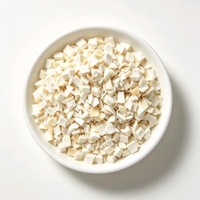 Cococinitas y Dados de Coco Liofilizados a Granel Listos para Consumir para Producción Industrial de Alimentos y Suministro de Materia Prima