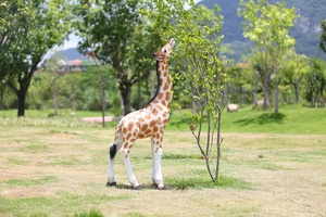 Decoración de Parque al Aire Libre, Jirafa de Fibra de Vidrio Personalizada, Estatua de Jirafa de Resina Realista de Gran Tamaño, Jirafa de Tamaño Real - Product Image 4
