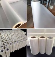 Vente en gros Baiyin Usine Vente à chaud Film DTF unique Film de transfert DTF Rouleau de film DTF 30 CM