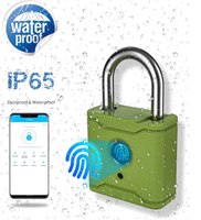 Serrure de porte portable intelligente Eseye Nouveau design d'armoire à empreintes digitales avec clé de stockage de données par mot de passe TTLock App-Key Features