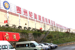 Anticipo nuovissimo pneumatico per autocarro 275/70 r22.5 vendita diretta in fabbrica altri pneumatici e accessori per ruote - Product Image 6