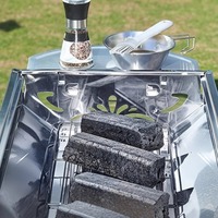 Barbecue portable en acier inoxydable, petit barbecue pliable pour le camping, au charbon de bois, pour rôtir la viande en plein air