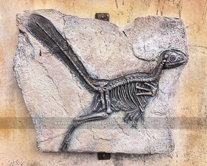 Réplica Realista de Fósil de Dinosaurio, Esqueleto de Dinosaurio Simulado para Parques y Arqueología - Product Image 2