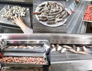 Congélateur tunnel <span class=keywords><strong>à</strong></span> azote liquide, machine <span class=keywords><strong>de</strong></span> congélation <span class=keywords><strong>à</strong></span> azote liquide <span class=keywords><strong>à</strong></span> <span class=keywords><strong>vendre</strong></span> - Product Image 6