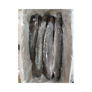 Pesce Gatto dalla Testa Piatta Vivo o Congelato, Gusto Premium per Ristoranti e BBQ - Product Image 4