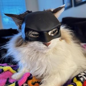 Schwarzer TPE Gummi Andere Haustier bekleidung Zubehör König Katze Fledermaus Kostüm Cosplay Maske Kopf - Product Image 4