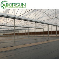 Smart Large Climate Control High Tunnel Greenhouse 30x100 Matériau PE de style chinois utilisé pour l'agriculture Jardin à vendre