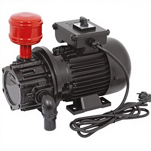 Pièces de rechange professionnelles pour pompe à vide agricole monophasée 110/220V 0,55 kW - Product Image 1