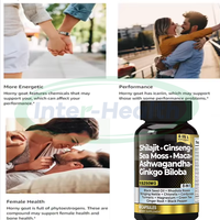 Ausreson OEM Compléments de Shilajit pour l'Immunité, l'Énergie et la Santé – Capsules Pures de Shilajit, Astragale, Ashwagandha, Ginseng, Curcuma et Champignons