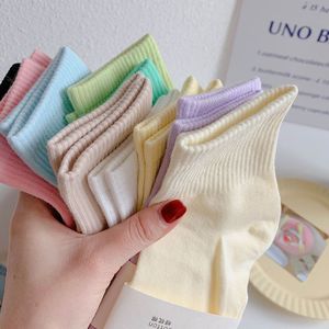 Offre Spéciale printemps et été Ins couleur Pure mi-tube court mince respirant <span class=keywords><strong>coton</strong></span> tendance femmes <span class=keywords><strong>chaussettes</strong></span> mignon - Product Image 3