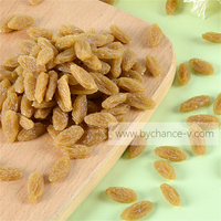 Raisin artificiel en plastique, imperméable et durable, accessoire de présentation pour la photographie culinaire, la décoration de la maison et de la cuisine, et les fournitures pédagogiques scolaires