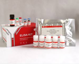 Solarbio科学研究のための高品質の人間の脳由来神経栄養因子BDNF ELISAキット - Product Image 3