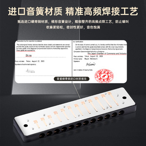 Armónica Diatónica Flying Fan de 12 Orificios QF12, Escala Blues, Instrumento Profesional - Product Image 5