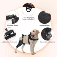Attelle de soutien réglable pour genou et jambe, protège-jambe pour chien pour la récupération après une activité en extérieur